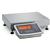 Minebea MW2P1U-6DC-L Midrics Industrial Scale With Applications and Galvanized/Painted Frame 15 x 0.001 lb