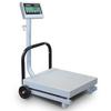 TorRey FS 250/500 Legal for Trade Mobile Shipping Receiving Scale 500 x 0.1 lb