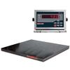 Rice Lake 155666 Roughdeck Floor Scale 4 x 4 Legal for Trade with 480 Indicator - 5000 x 1 lb