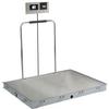 Detecto SOLACE Series ID-4836SH-855RMP 4 x 3 ft In-Floor Dialysis Scale with Handrail 1000 x 0.2 lb