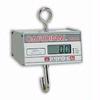Detecto HSDC-200 Legal for Trade Hanging Scale, 200 x 0.1 lb