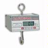 Detecto HSDC-20 Legal for Trade Hanging Scale, 20 x 0.01 lb