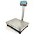 Tree FBs-c1824  Stainless 18 x 24 Legal for Trade 20 key Bench Scale 500 x 0.1 lb
