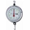 Chatillon 4230DD-T-H Mechanical Hanging 9 inch Scale with Hook, Double Dial, 30 lb x 1/2 oz