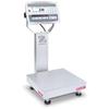 Bench Scales with Column
