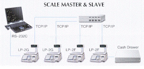 Scale master and slave