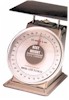 Best Weight Mechanical Spring Scales 