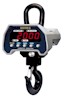 CAS digital crane scales