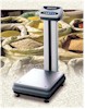 CAS DL-100 economical bench scales - battery operated with RS-232 output - perfect for industrial weighing