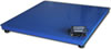 DigiWeigh Legal for Trade Floor Scales