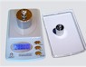 DigiWeigh BX  pocket scales
