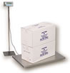 Salter Brecknell PS-500 Floor Scales / Vet Scales 