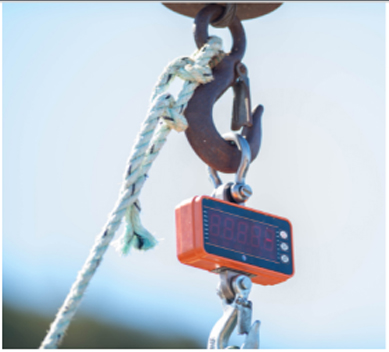 digital crane scales