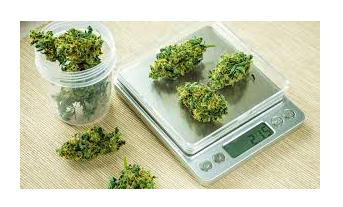 weed scale