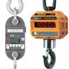 Crane Scales & Dynamometers