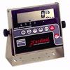 Detecto 204 Digital Weight