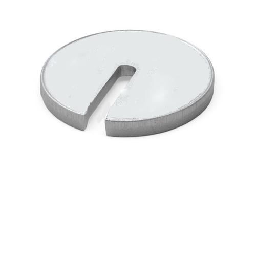 Ohaus 43010-01 (53010-01S) Individual Weight Stainless Steel - 0.1N Weight