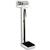 Detecto 2391 Mechanical Eye-Level Physician Scale 200 kg x 100 g With Height Rod 