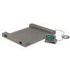 Detecto RW-1000 Run-a-Weigh Portable Floor Scales,1,000 lb x 0.5 lb