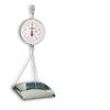 Detecto MCS-20DP Scoop Scale 20 Ib capacity,Double Dial