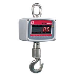 Crane Scales