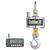 Chatillon CTR-11K-N Digital Crane Scales w/ NIST Cert, 11000x 2 lb
