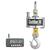 Chatillon CTR-22K-N Digital Crane Scales w/ NIST Cert, 22000x 5 lb