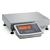 Minebea MW2P1U-3DC-L Midrics Industrial Scale With Galvanized/Painted frame  6 x 0.0005 lb