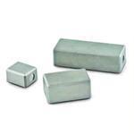 Rice Lake 12630TC Cube We