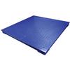 Floor Scales