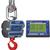 Intercomp CS3000 100681-RFX Crane Scale w/S1 Swivel & Eyehook & Wireless Indicator, 2,000 x 1lb Intercomp CS3000 100681-R