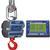 Intercomp CS3000 100682-RFX Crane Scale w/S1 Swivel & Eyehook & Wireless Indicator, 5,000 x 1lb