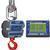 Intercomp CS3000 100686-RFX Crane Scale w/S1 Swivel & Eyehook & Wireless Indicator, 50,000 x 10lb