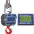 Intercomp CS3000 100688-RFX Crane Scale w/S1 Swivel & Eyehook & Wireless Indicator, 100,000 x 20lb Intercomp CS3000 100688-R