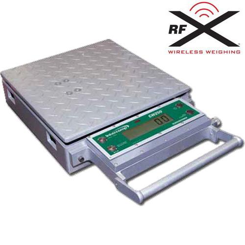 Intercomp CW250 100161-RFX  15x15x4 In Platform Scale 150 x 0.05 lb
