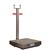 CAS TRL-500S Transit Fixed Wheel 24 x 24 Platform Stainless Steel 500 x 0.1 lb (No Indicator)