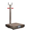 CAS TRL-1000S Transit Fixed Wheel 24 x 24 Platform Stainless Steel 1000 x 0.2 lb (No Indicator)