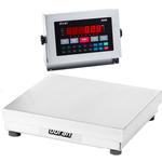 Doran 22050/12 Legal For Trade Washdown Bench Scale 12 x 12 inch Base 50 x 0.01 lb
