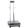 Doran PFS Portable Washdown Bench Scale Doran PFS Portable Washdown Bench Scale