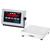 Doran 22002CW/88 Checkweighing Scale 2 x 0.0005 lb Doran 22002CW/88 Checkwei