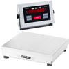 Doran 43100/15 Legal for Trade 15 X 15 Checkweighing Scale 100 x 0.02 lb
