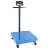 Doran DCS5250 Legal For Trade 24 x 24 Curbside Baggage Scale 250 x 0.05 lb