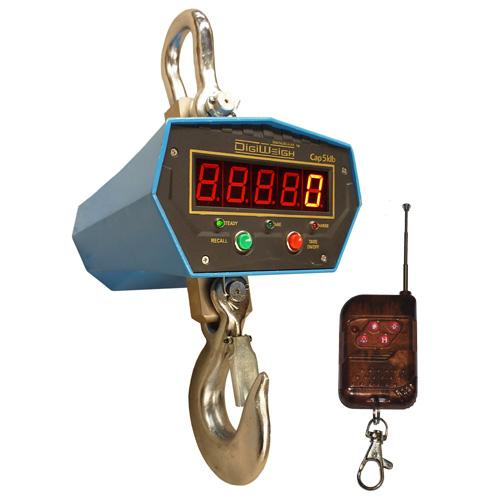 DigiWeigh DWP-2000C2X Crane Scale -  2000 x 1 lb