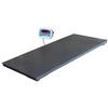 Brecknell PS-3000HD (816965006052) Floor - Veterinary Scale with Anti-slip Rubber Mat 3000 x 1 lb 