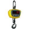 Crane Scales