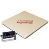 Detecto FH-544F-180 Floor Hugger Heavy-Duty 4 x 4 Floor Scales 5000 x 1 lb