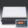 Minebea IS12CCE-SXKT Explosion Proof Scale  - 12kg x 0.1g