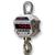 MSI 503413-0004 Port-A-Weigh MSI-4260 Legal for Trade 10,000 x 2.0 lb MSI 503413-0004 Port-A-We