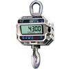 MSI-4300 Port-A-Weigh Plus Legal For Trade - Legal For Trade MSI-4300
