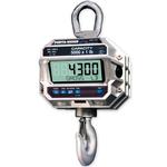 MSI 4300 Crane Scales MSI 4300